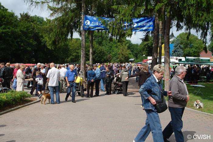 Bild: Eintreffen & Ausstellung der Oldtimer auf dem Zörbiger Schloßparkplatz.