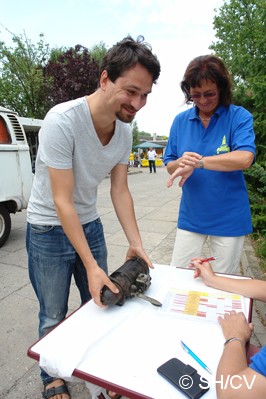 Bild: 