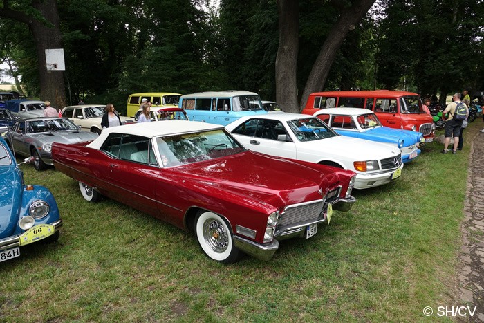 Bild: Fahrzeugausstellung in der Parkanlage in Mößlitz.