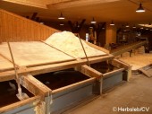 Salinemuseum Halle