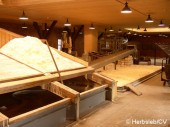 Salinemuseum Halle