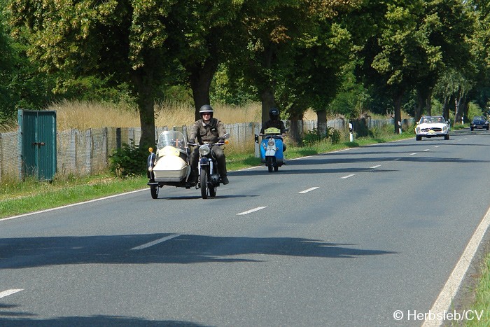 Bild: Auf der Kreisstraße zwischen Zörbig und Großzöberitz, zum nächsten Kontrollpunkt.